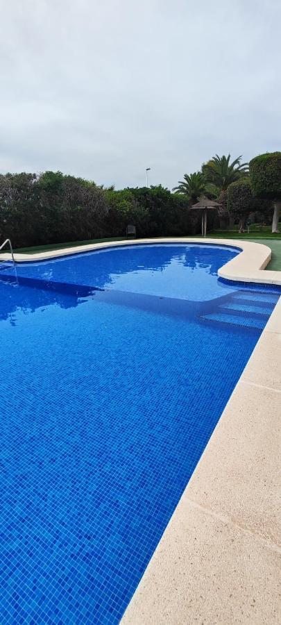 Parque Aromatico Con Dos Piscinas Leilighet Torrevieja Eksteriør bilde