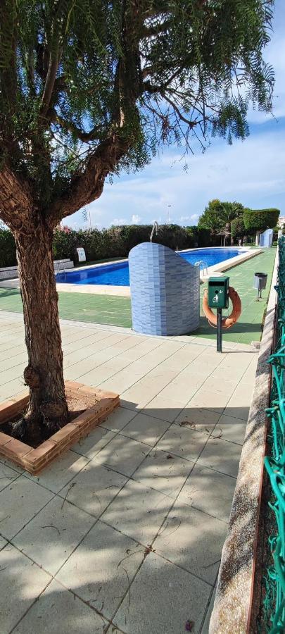 Parque Aromatico Con Dos Piscinas Leilighet Torrevieja Eksteriør bilde